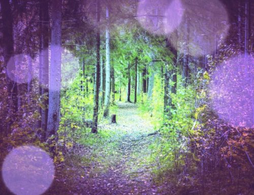 Chemin